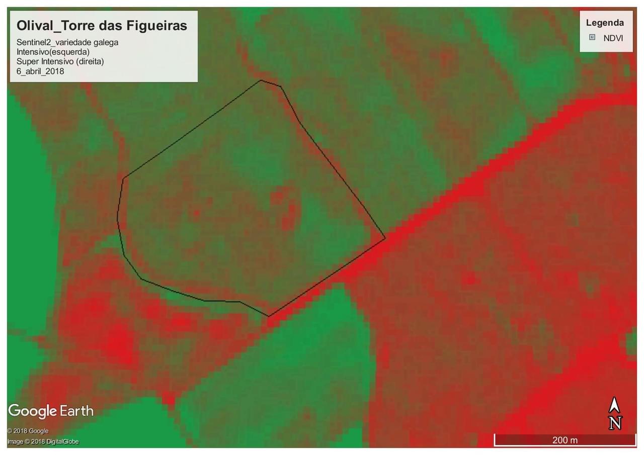 Dete&ccedil;&atilde;o remorta olival